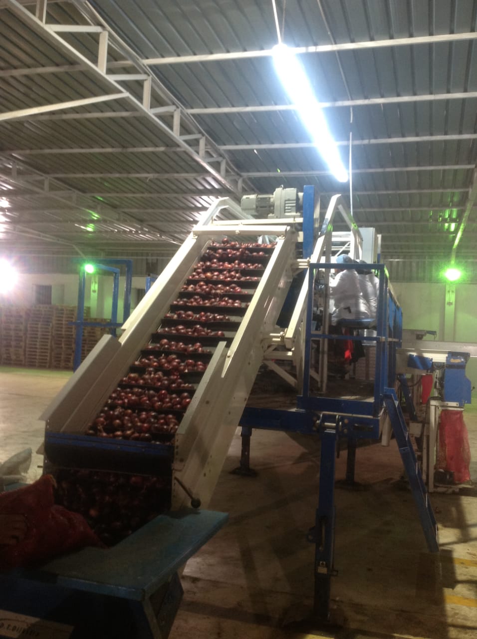 Receiving, Inspecting, Sorting, & Packing